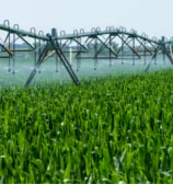 Irrigação agrícola terá aumento de 4,2 milhões de hectares